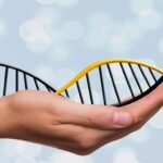 DNA:  The Future of Nutrition