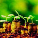 Cultivating Prosperity-A Holistic Approach to Wealth and Well-being